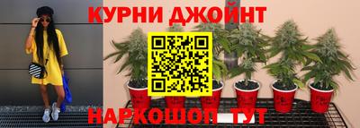 герыч Камышлов