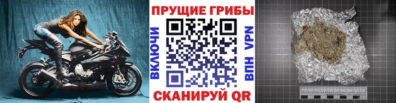 Галлюциногенные грибы Magic Shrooms  продажа наркотиков  Строитель 